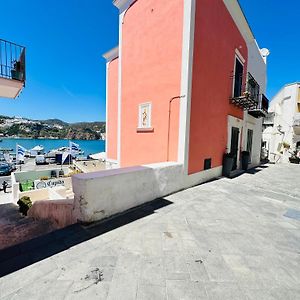 Clorinda - Immobilevante
